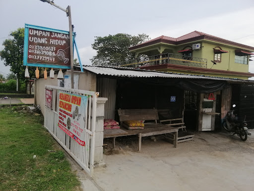Udang Hidup Telok Gong