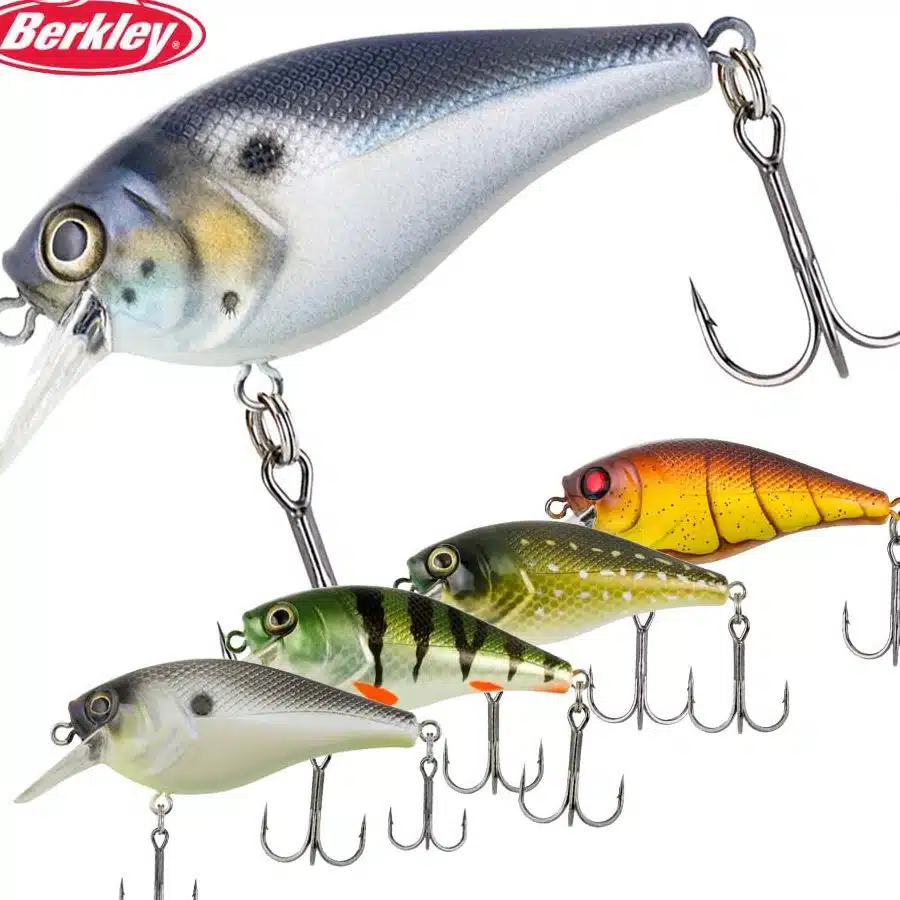 5 5 fishing bait shop