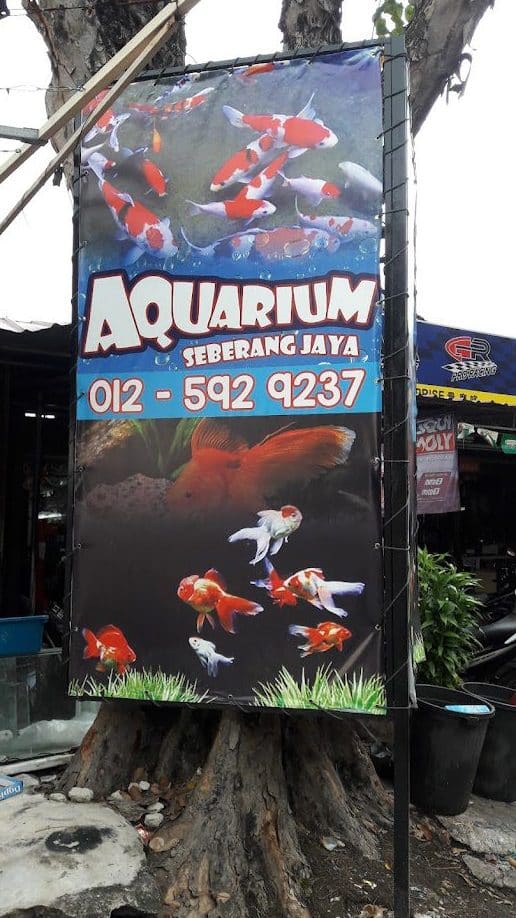 aquarium seberang jaya