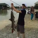 batu arang exotic fishing park wl