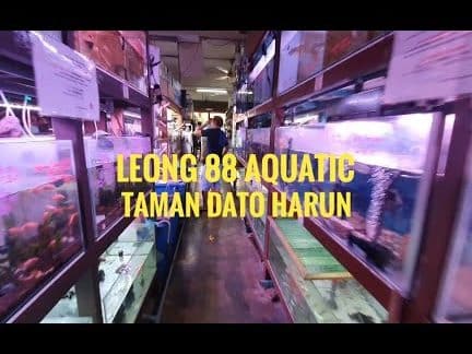 chop leong huat kedai pancing aquarium