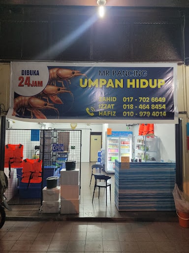 MR Pancing Umpan Hidup