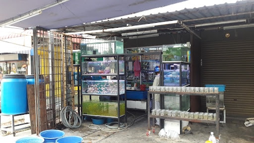 Aquarium Seberang Jaya