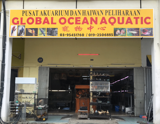 Global Ocean Aquatic Enterprise