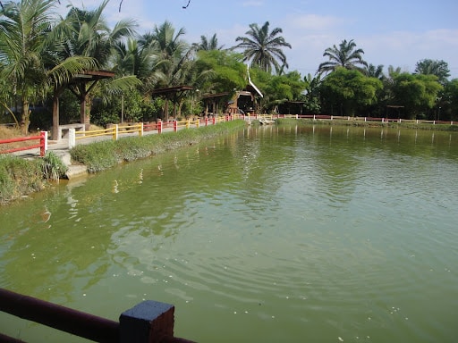 Kolam Pancing Down Hill