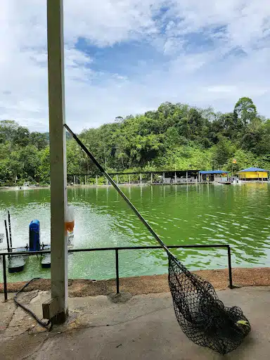Kolam Pancing Air Masin GP, Taman Templer