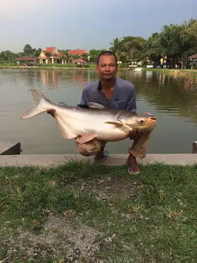Kolam Pancing Seksyen 24
