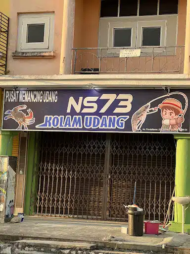 NS73 kolam udang