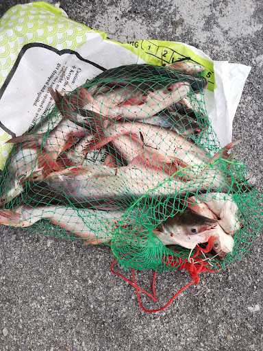 Kolam Memancing Tang Weng Hong