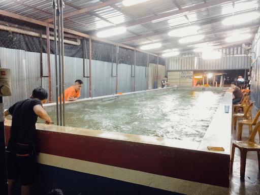 Kolam Memancing Udang King Kluang