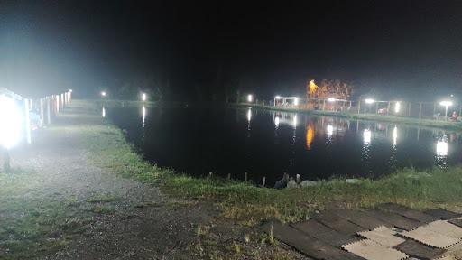Kolam SISIK 989