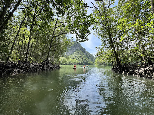 Xtreme Langkawi Mangrove Kayaking