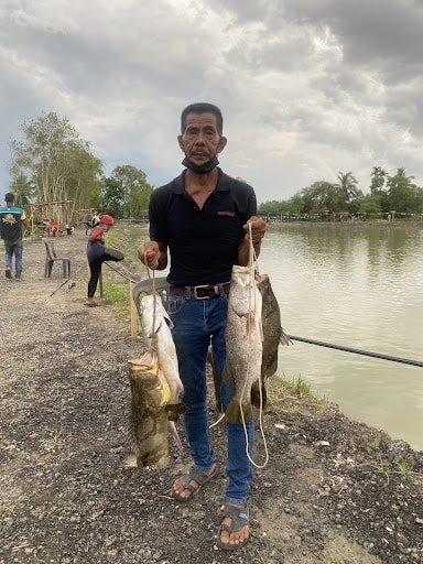 KS3 - Simpang Tiga Fishing Port - Sungai Petani