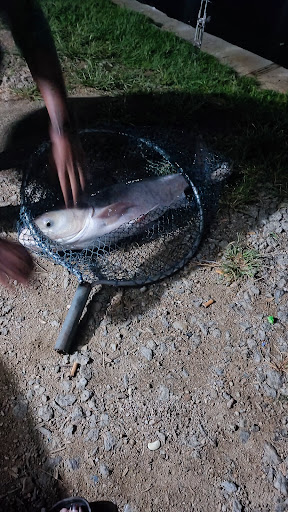 Kolam Pancing Sri Lalat