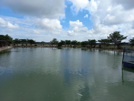 Kolam Pancing Air Masin Jelor