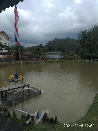 Kolam Pancing Berlauk Aqil