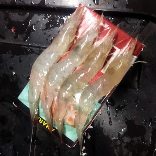 UMPAN PANCING TAMAN SERI SELAYANG