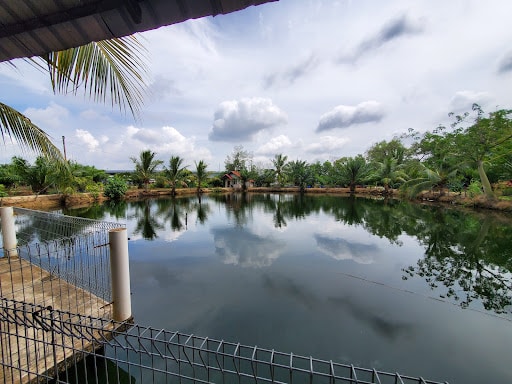 Kolam Memancing PokNik