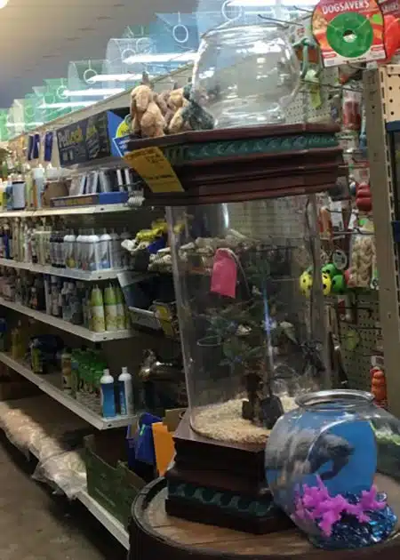fantasia pet and fishing store