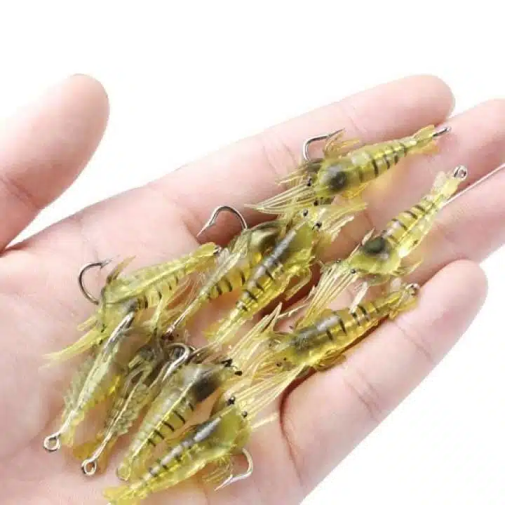 jual umpan udang hidupudang langgaiudangmadu