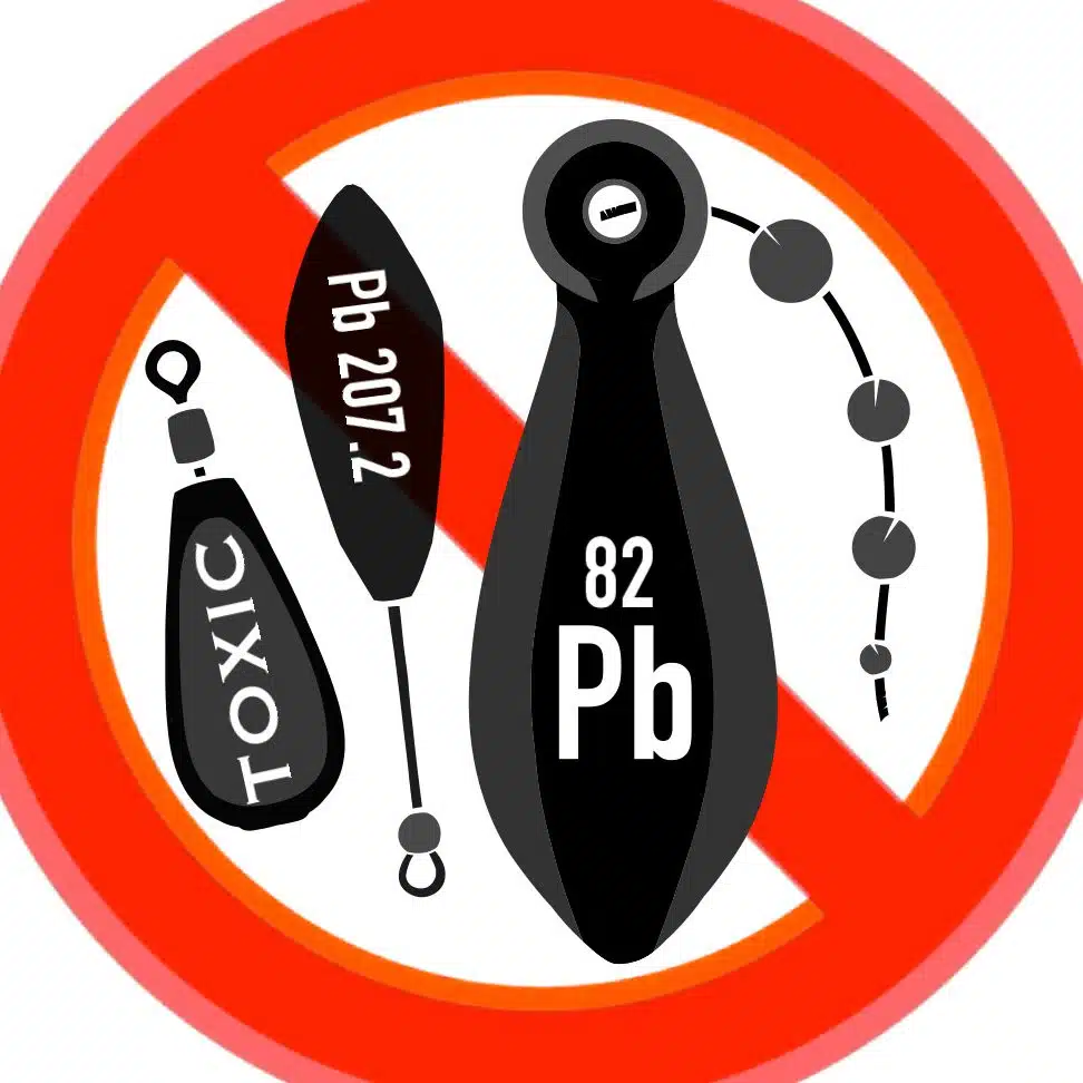 kb anglers aquatics