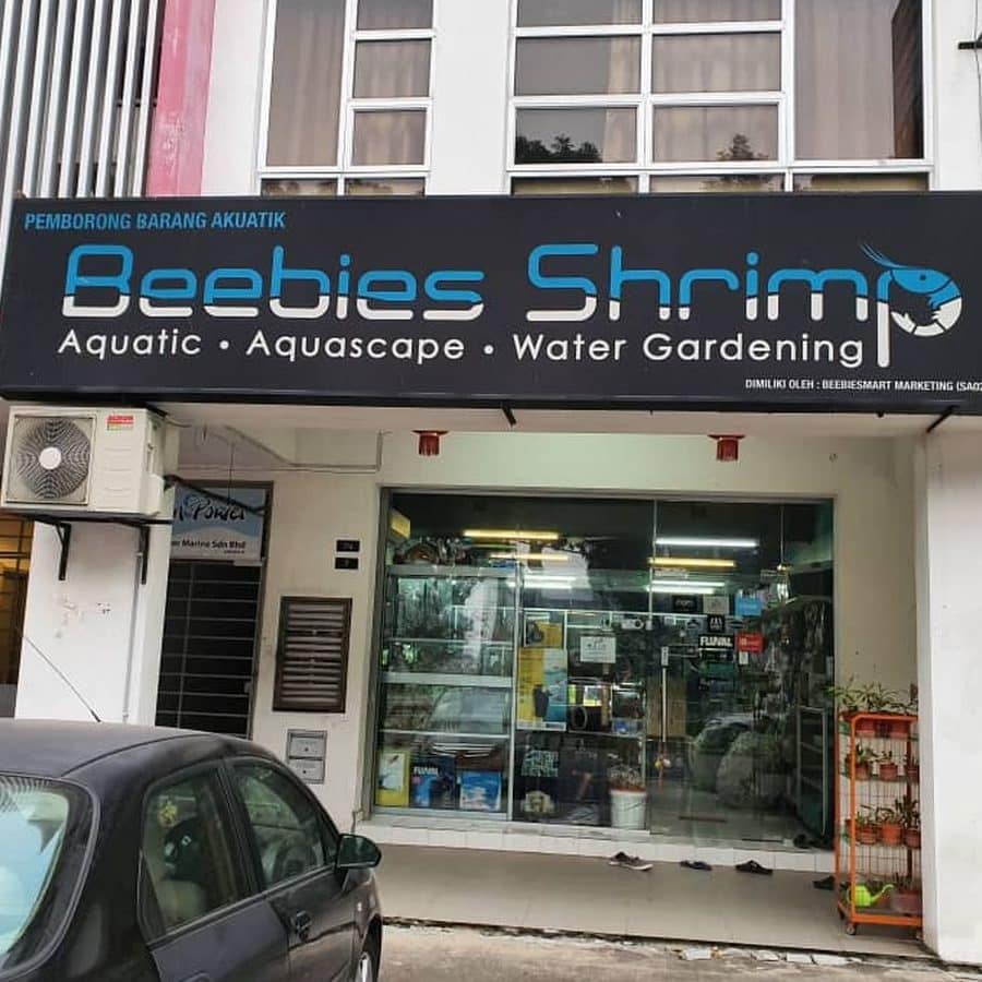 kedai pancing aquarium aquatics house