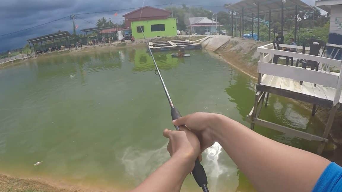 kolam pancing air masin kubang rawa