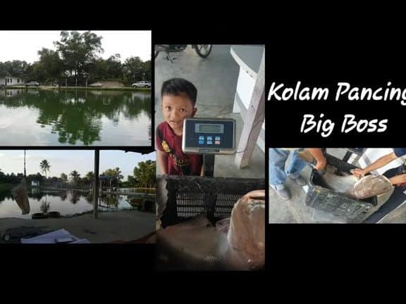 kolam pancing big boss