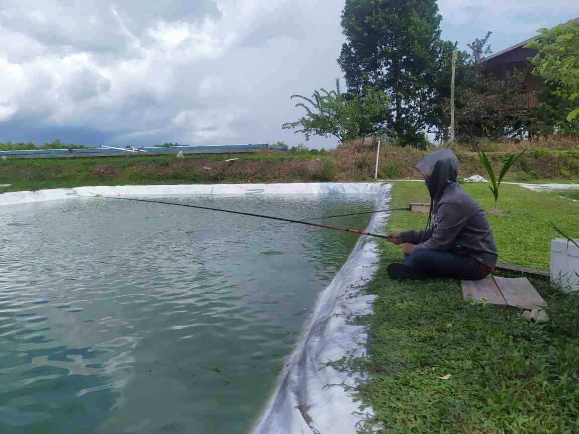 kolam pancing delmars