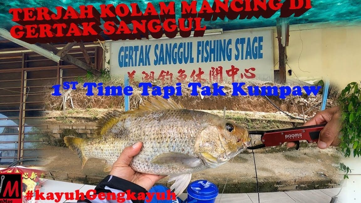 kolam pancing udang jimah baru