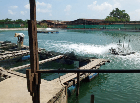 shg kolam pancing pandamaran